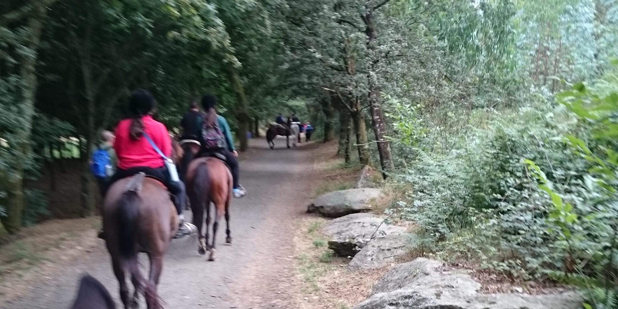 El Camino a Caballo 03