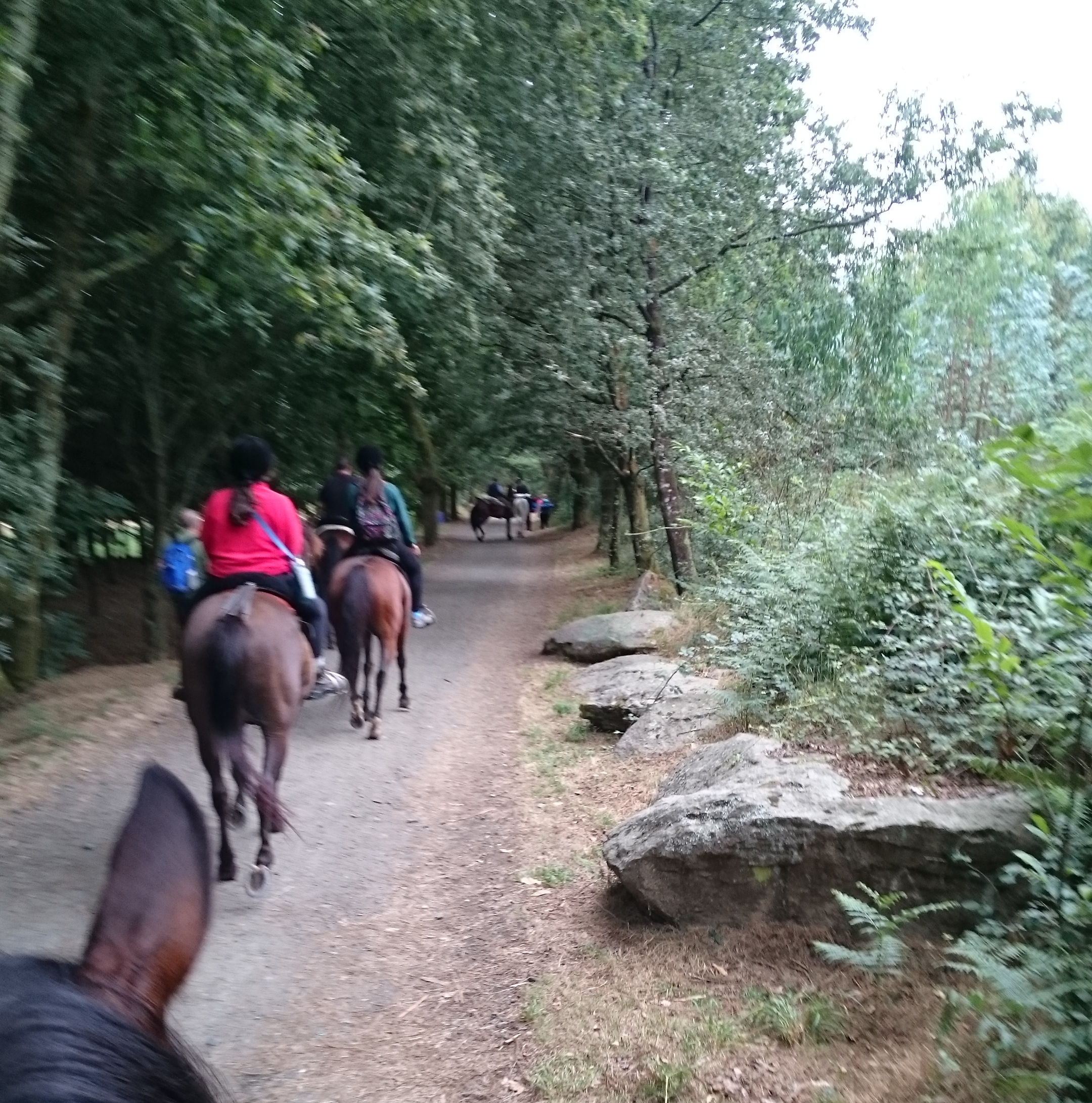 El Camino a Caballo 03